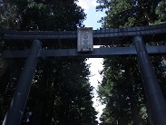 富士山浅間神社鳥居