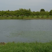 水元公園